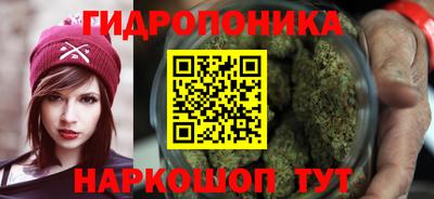 PSILOCYBIN Краснодар