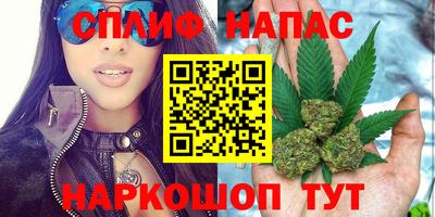 сатива Краснокаменск