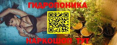 сатива Краснокаменск