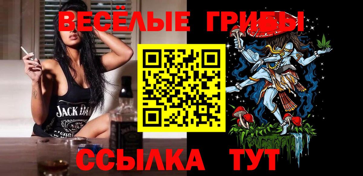 наркота  Псилоцибиновые грибы прущие грибы  Вход с VPN  Железногорск 